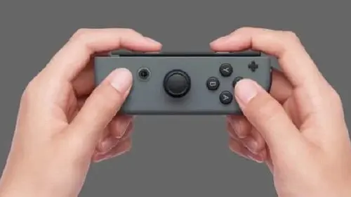 assets/Joy-Con-single-a-768x325.jpeg