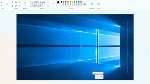 assets/Paint-generativ-radering.jpeg