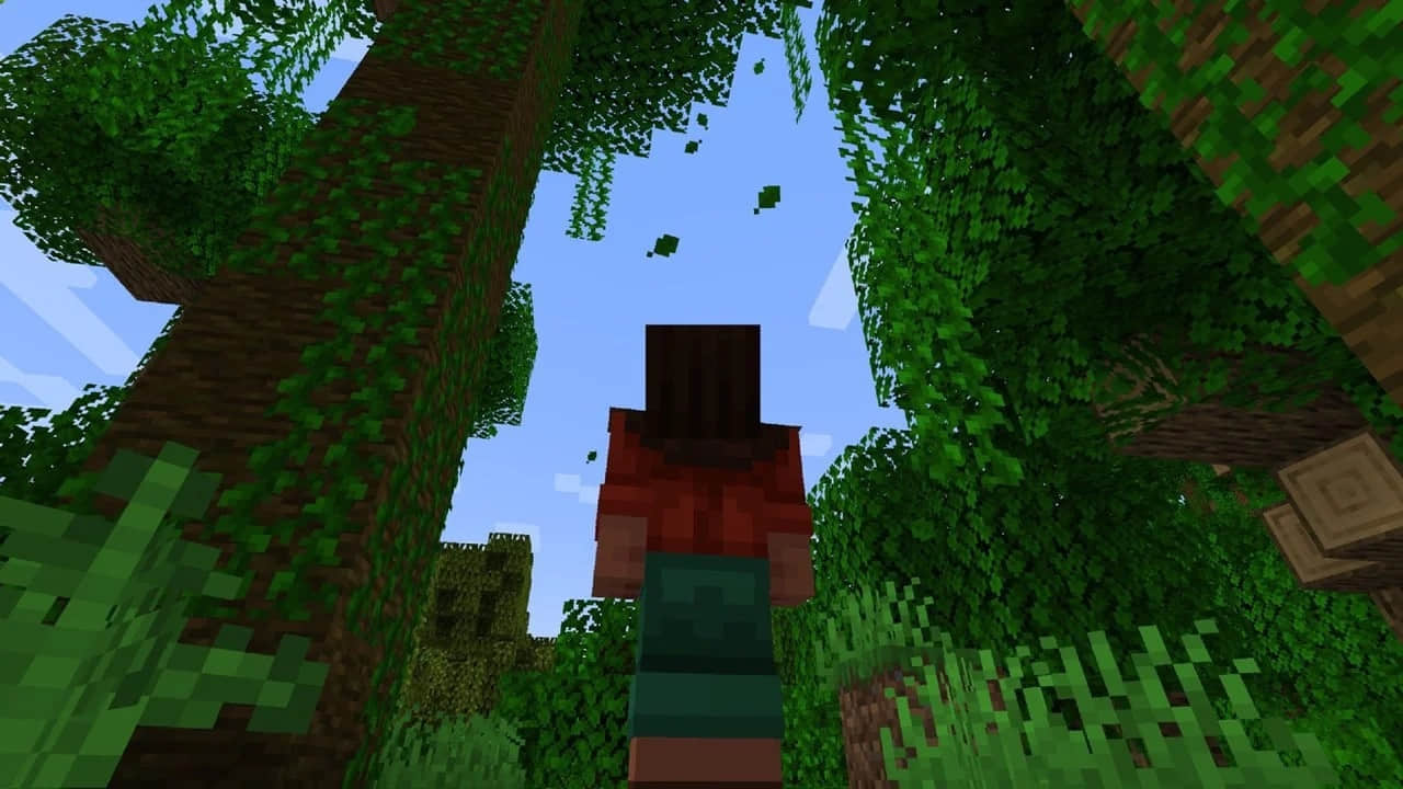 minecraft-20250112-325041-002