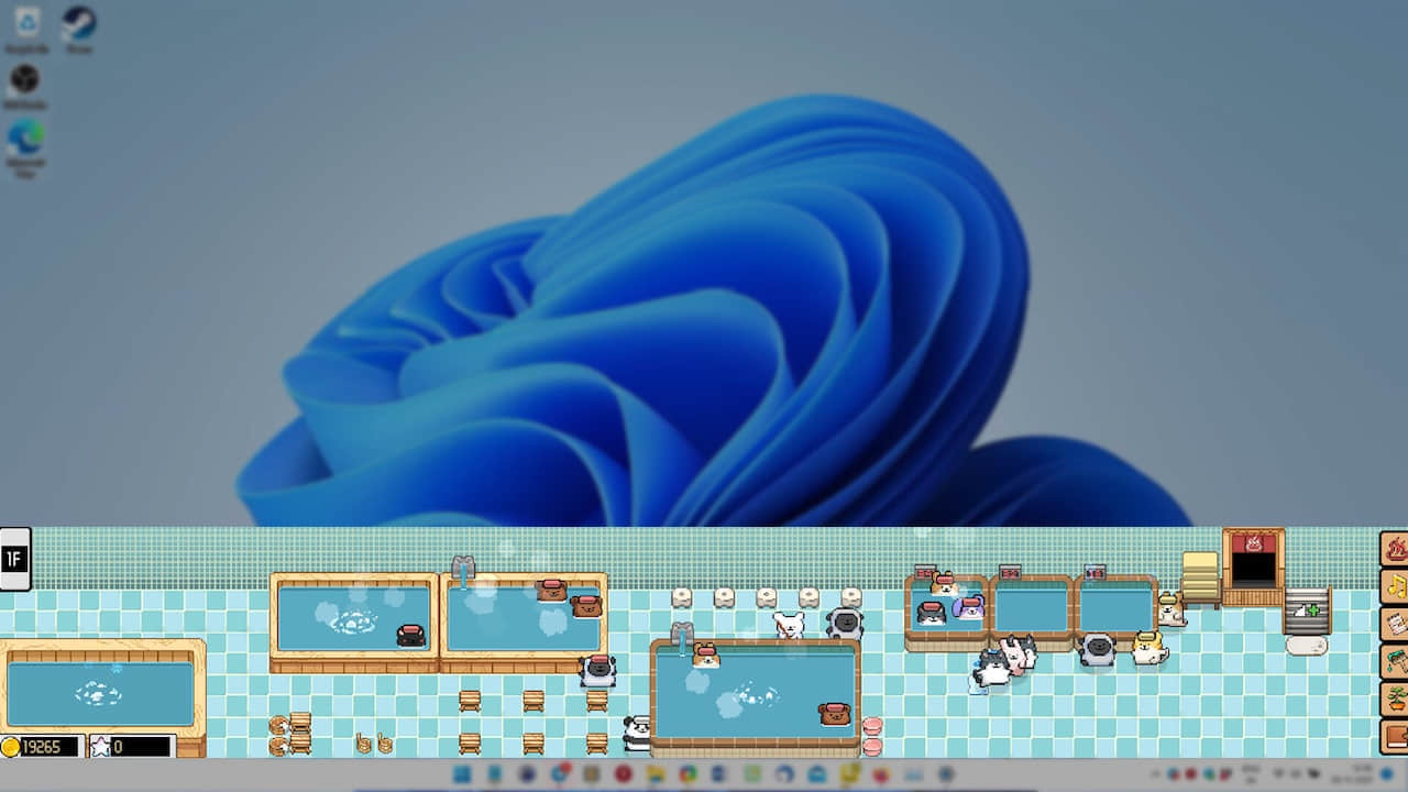animal-spa-20250108-324650-header