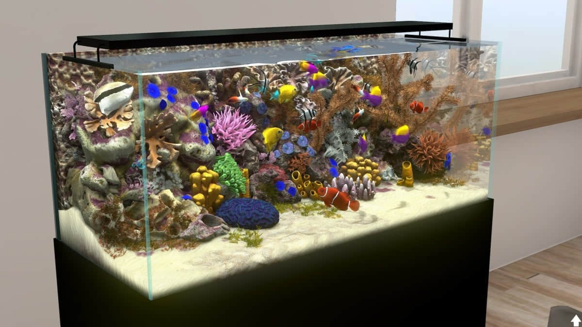 aquarium-simulator-20250114-325226-001