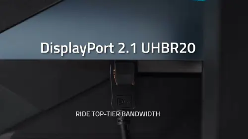 assets/dp21.jpeg