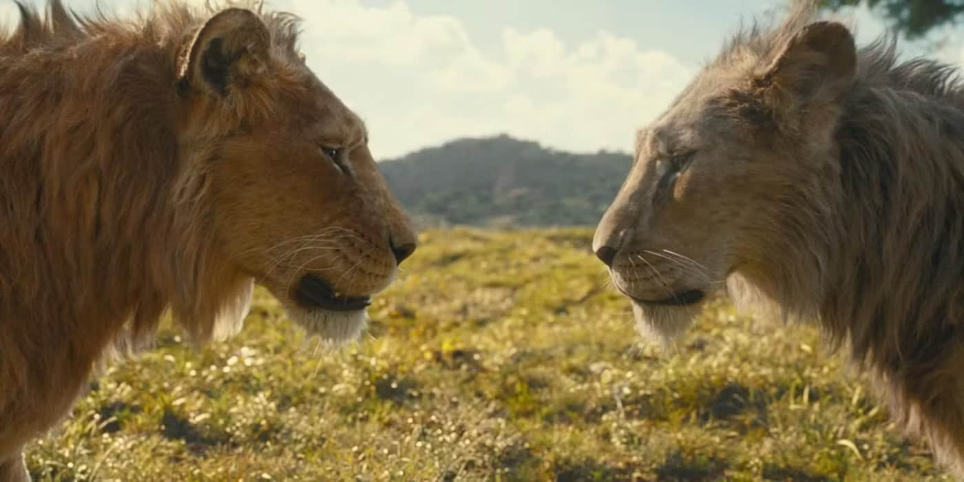 mufasa-and-scar-from-mufasa-the-lion-king