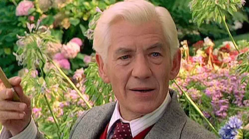 assets/IanMcKellen.jpeg