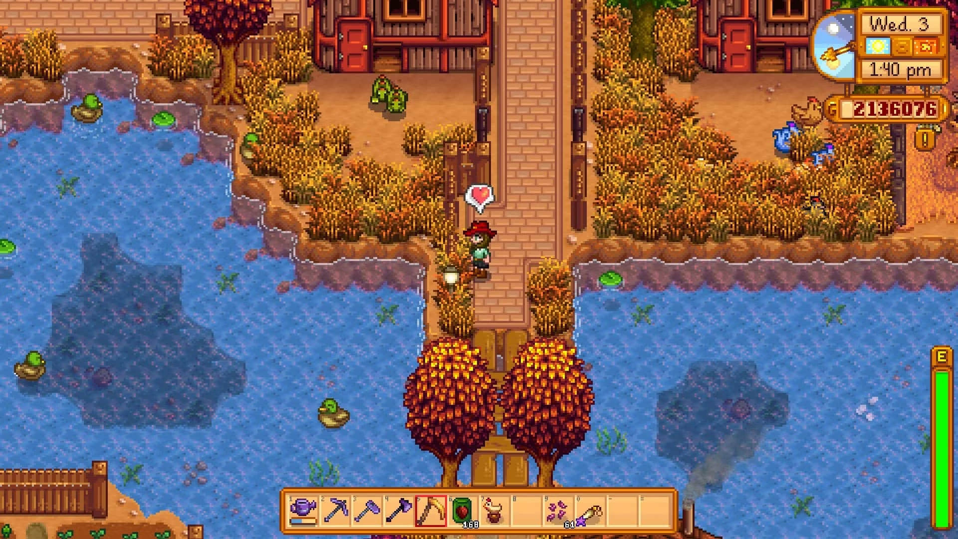 stardew-valley-farmer-watching-a-duck-swim-in-a-pond