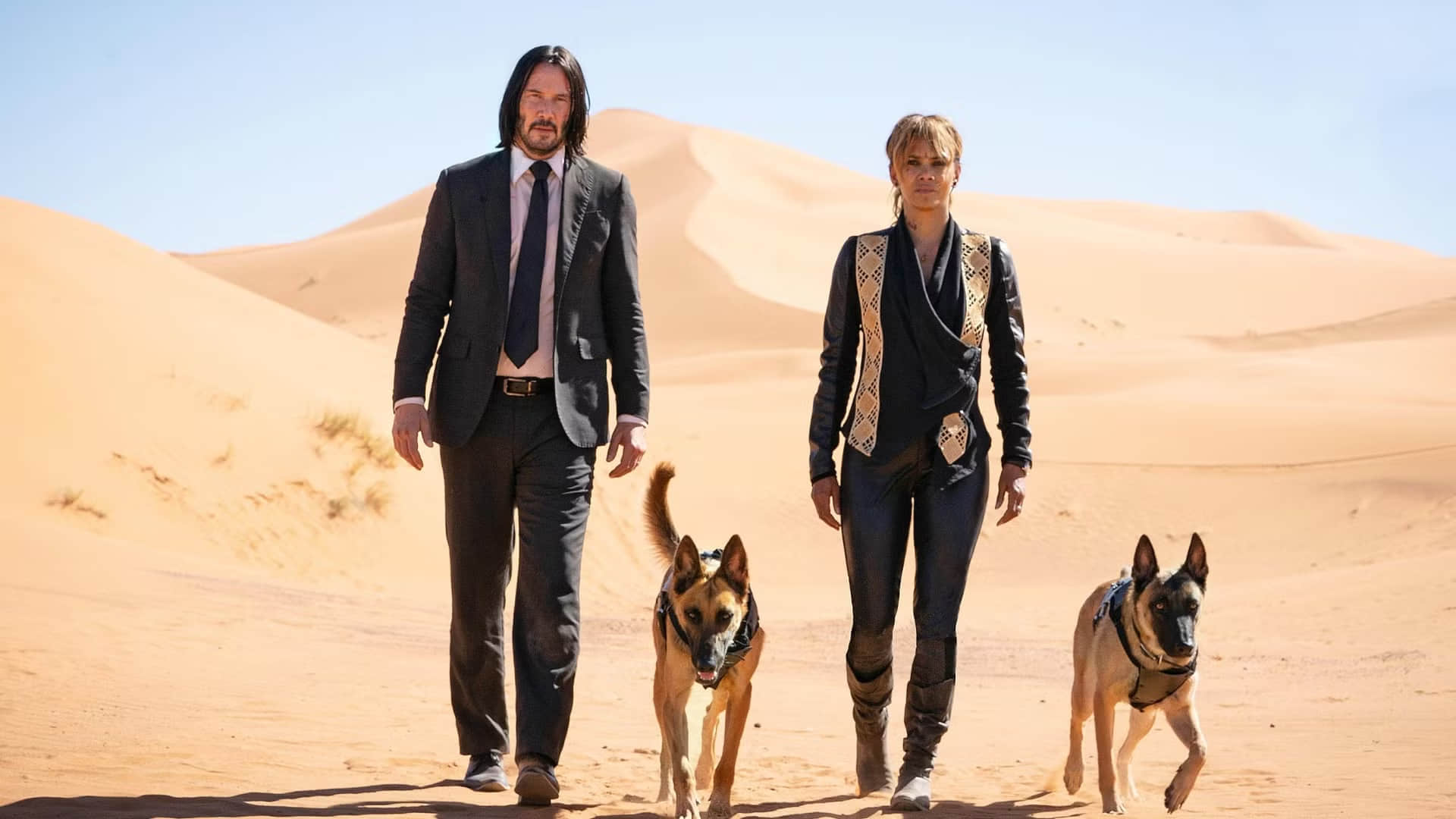 halle-berry-and-keanu-reeves-in-john-wick-chapter-3-parabellum