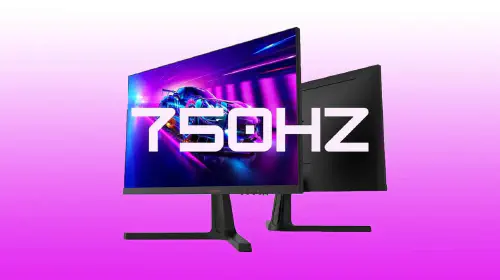 assets/bzi6zM7hgXpQxTKyVeXyK6.jpg