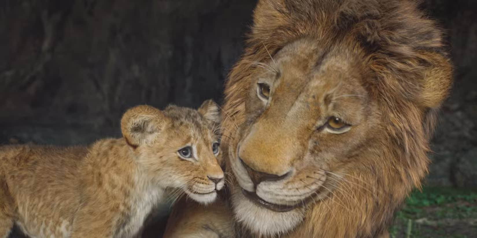 mufasa-the-lion-king-2