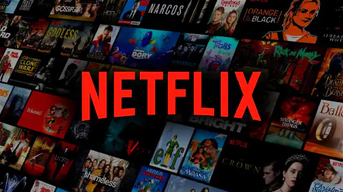 assets/netflix-logo.jpeg