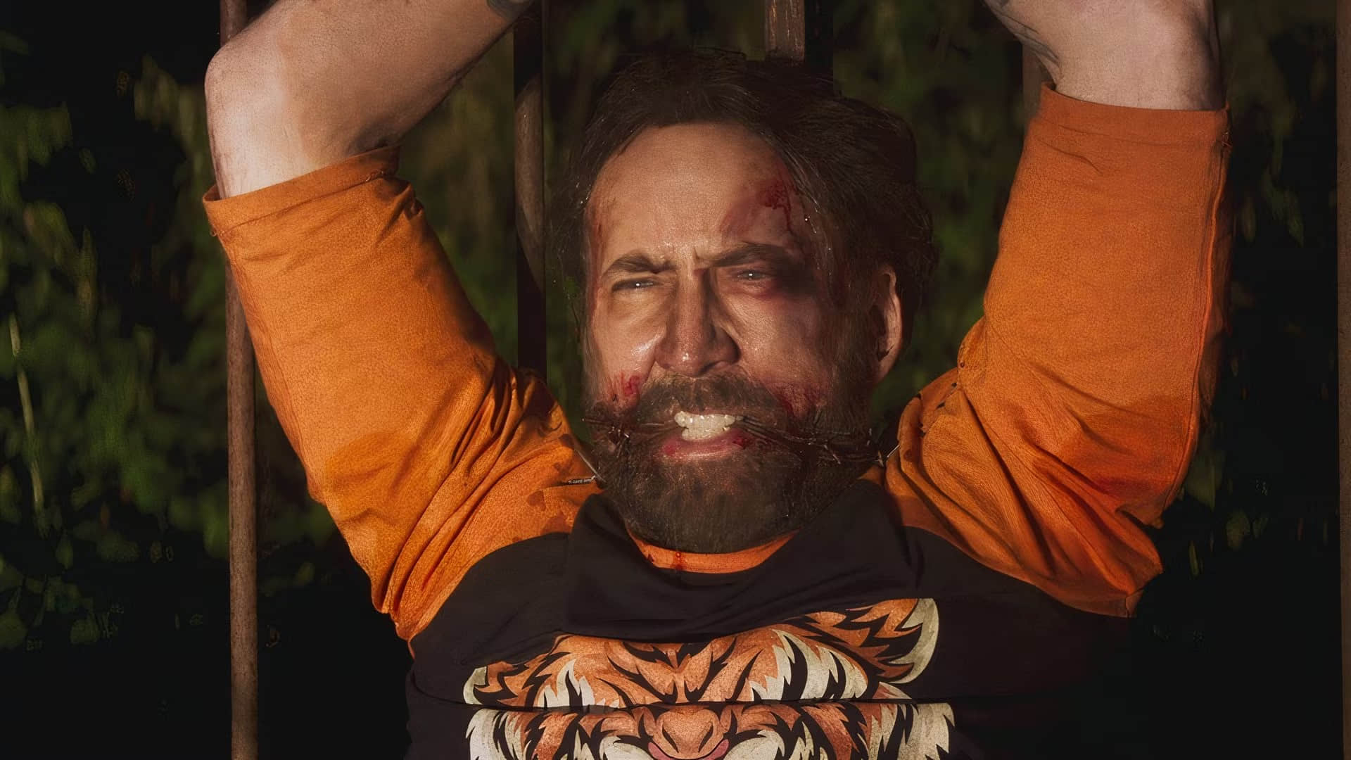 nicolas-cage-in-mandy-2