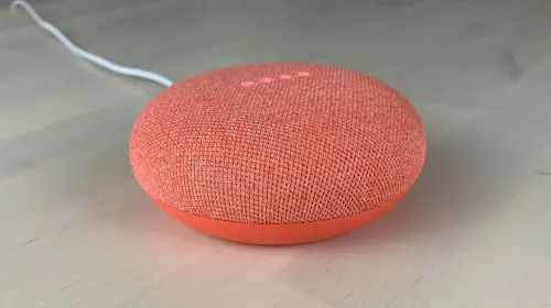assets/Google-Nest-Mini.jpeg