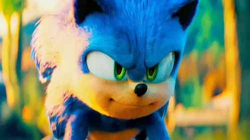 assets/sonic-smirking-in-sonic-the-hedgehog-3.jpeg