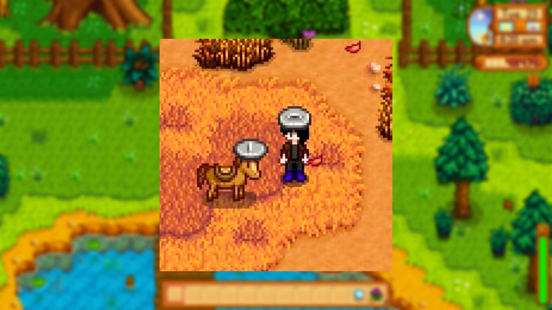 stardew-valley-horse-and-player-with-trash-hat