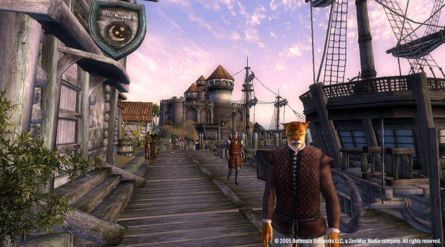 The-Elder-Scrolls-IV-Oblivion-remake