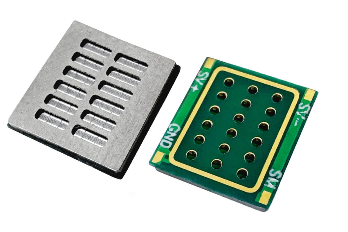 Sycamore-chip_Version-5