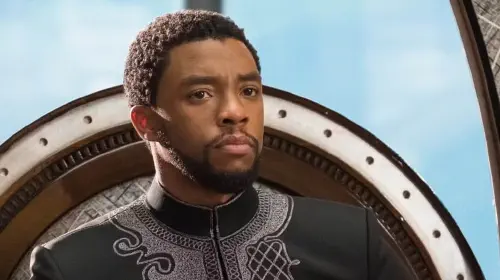 assets/chadwick-boseman-as-black-panther-in-mcu.jpeg