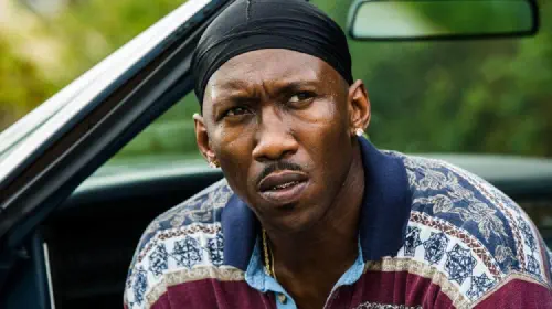assets/mahershala-ali-in-moonlight.jpeg