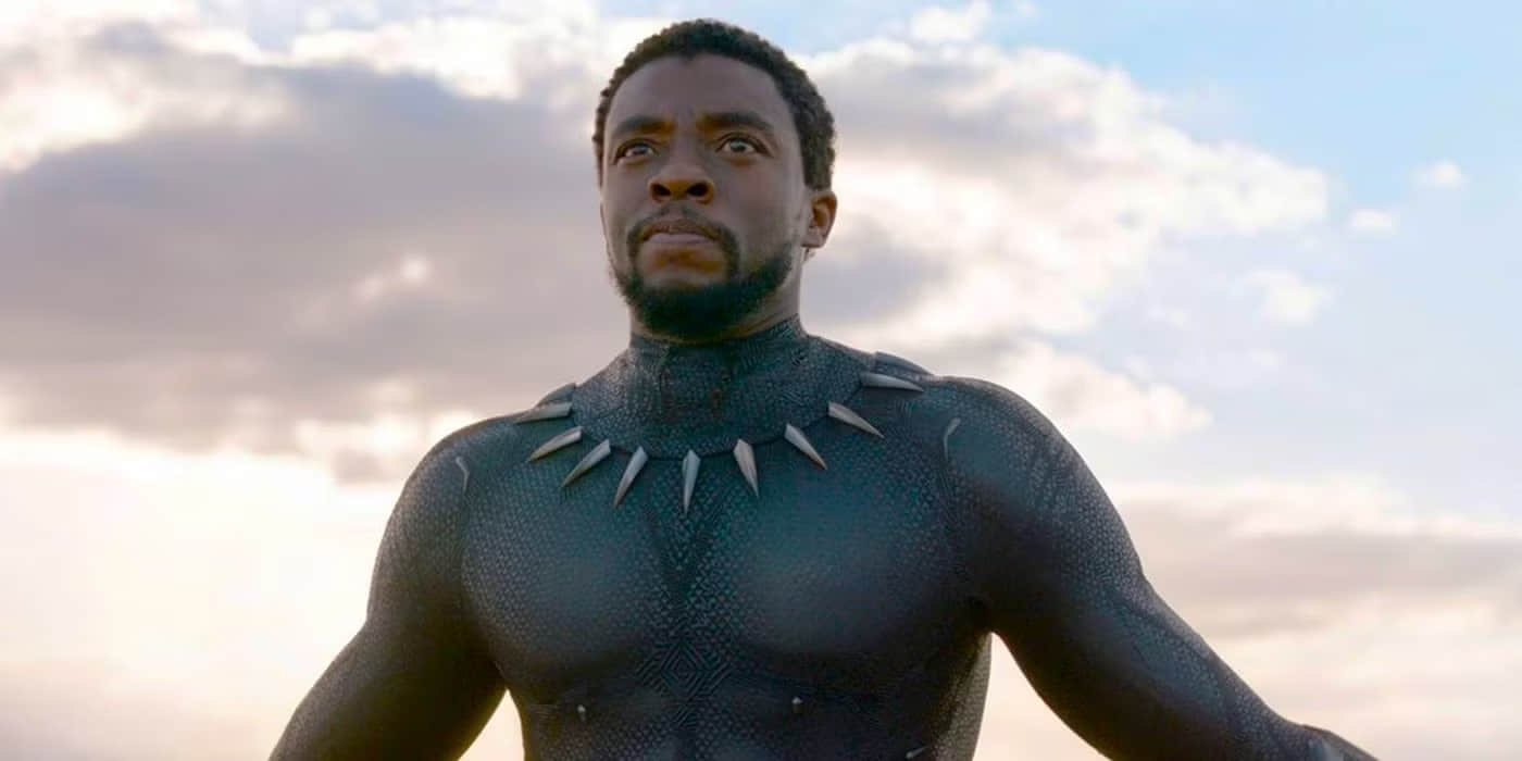 blackpanther596d2f02625fd-2000-ee7b826f45274fa5a336b7dfb2a7e57d