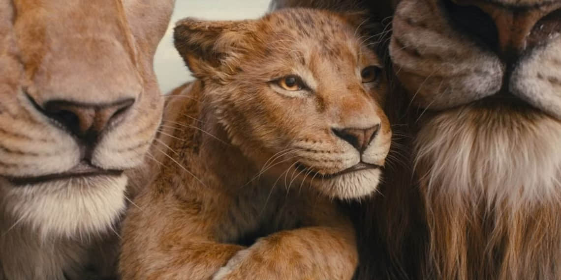 mufasa-the-lion-king