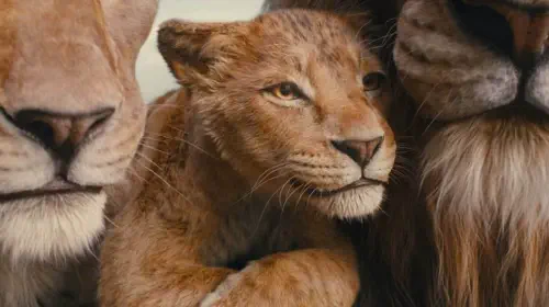 assets/mufasa-the-lion-king.jpeg