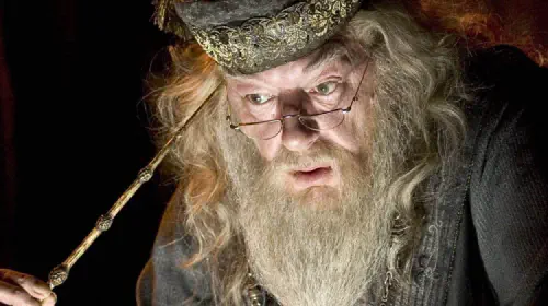 assets/dumbledore-in-harry-potter-and-the-goblet-of-fire.jpeg