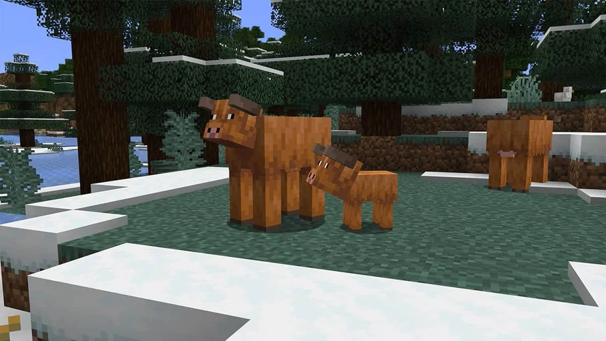 minecraft-20250130-326874-001