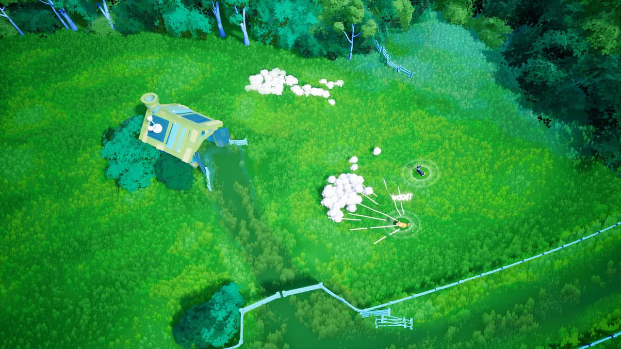sheepherds-20250207-327673-001