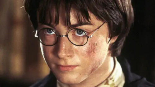 assets/daniel-radcliffe-as-harry-potter-1.jpeg