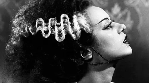 assets/lanchester-in-bride-of-frankenstein.jpeg