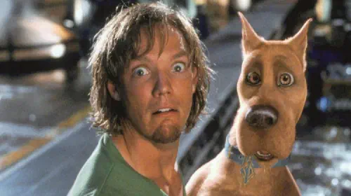 assets/matthew-lillard-as-shaggy-in-scooby-doo-2002.jpeg
