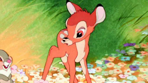 assets/bambi-1.jpeg