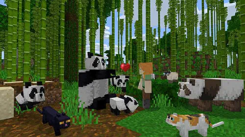 assets/minecraft.jpeg