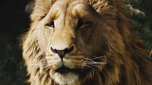 assets/liam-neeson-as-aslan-in-narnia.jpeg