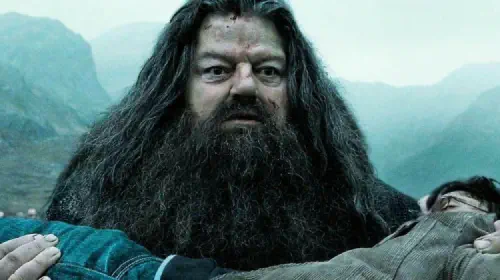 assets/harry-potter-and-hagrid-in-harry-potter-and-the-deathly-hallows-warner-bros.jpeg