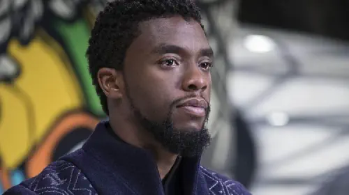 assets/chadwick-boseman-in-black-panther.jpeg