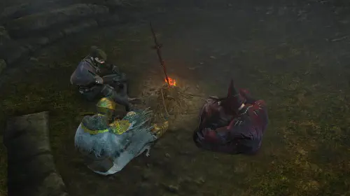 assets/Dark-Souls-Remastered-Seamless-Co-op.jpeg