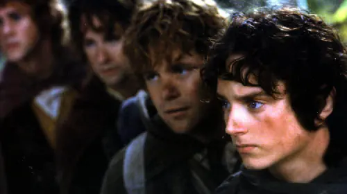 assets/the-cast-of-the-lord-of-the-rings-fellowship-of-the-ring.jpeg