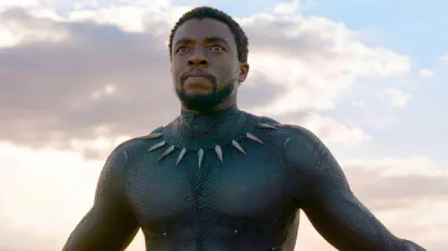 assets/blackpanther596d2f02625fd-2000-ee7b826f45274fa5a336b7dfb2a7e57d.jpeg