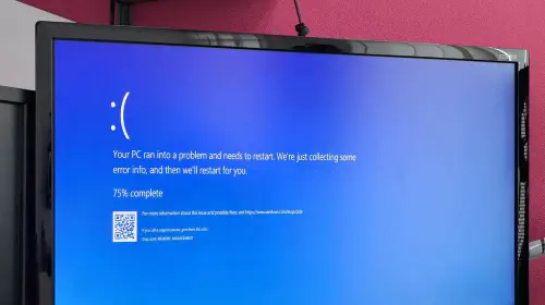 assets/win10BS.jpeg