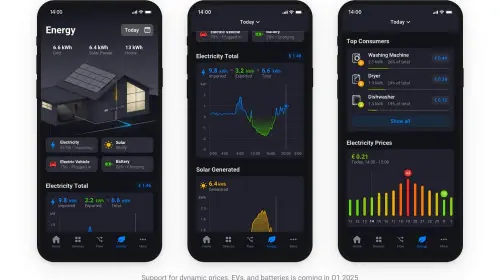 assets/Homey-Energy-Mobile-App-1.jpeg