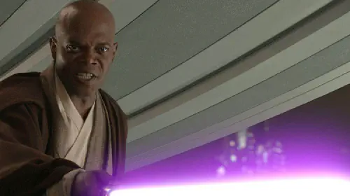 assets/samuel-l-jackson-as-mace-windu-in-star-wars.jpeg