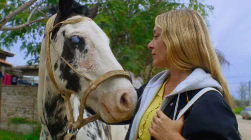 assets/magic-farm-with-chloe-sevigny-movie-at-sundance-2025.jpeg