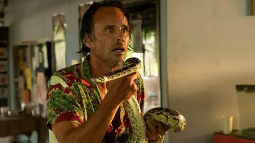 assets/walton-goggins-in-the-white-lotus.jpeg