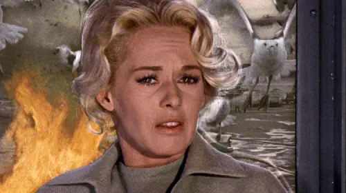 assets/tippi-hedren-in-the-birds.jpeg