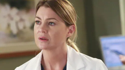 assets/ellen-pompeo-as-meredith-grey-in-grey-s-anatomy.jpeg