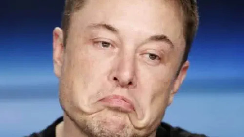 assets/Elon-Musk-Tesla-1.jpeg
