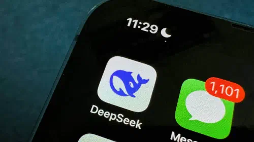 assets/deepseek-2.jpeg