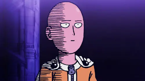 assets/one-punch-man-anime.jpeg