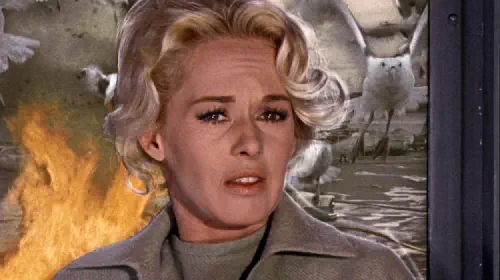 assets/tippi-hedren-in-the-birds.jpeg