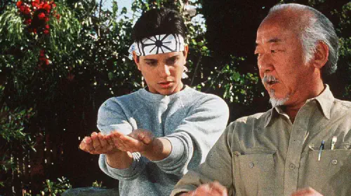 assets/daniel-mr-miyagi-in-the-karate-kid.jpeg